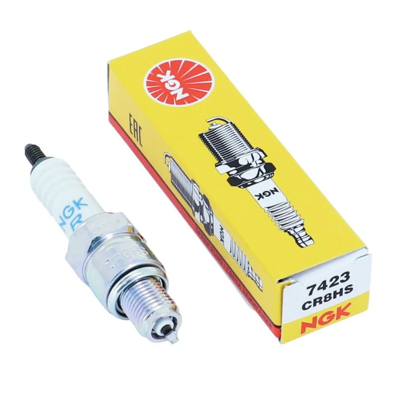 NGK Buji – CR8HS