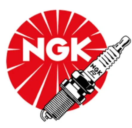 NGK Iridium Buji – GR9DI-8 ROTAX